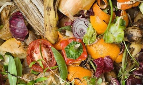 residuos-orgánicos-compressor